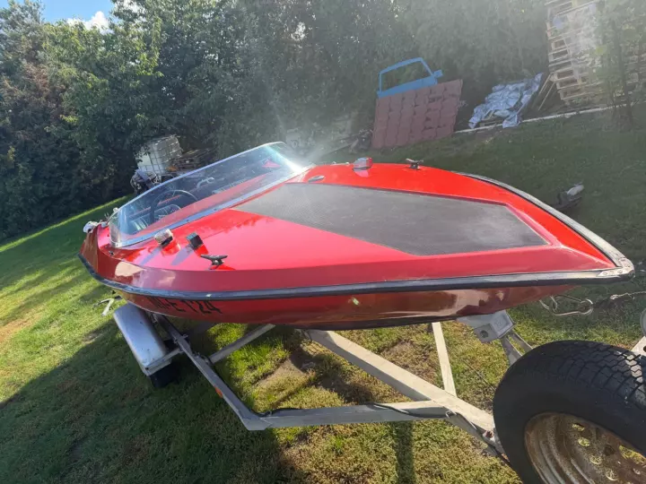 Piranha Espada